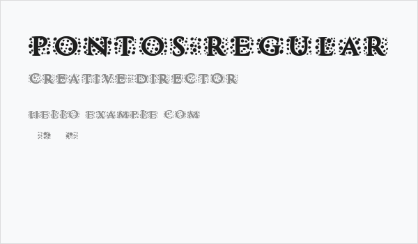 Pontos Regular Business Card