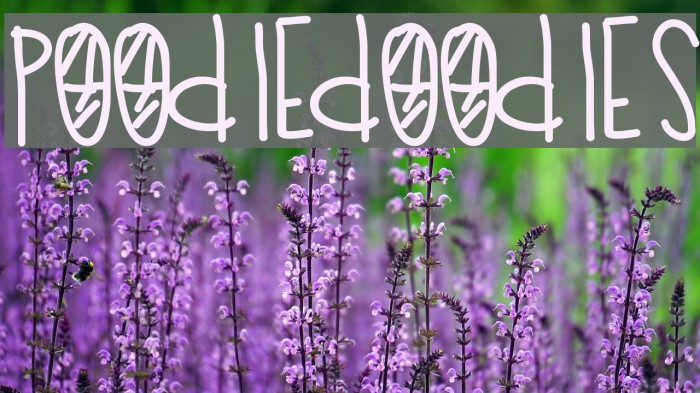 PoodleDoodles Font examples