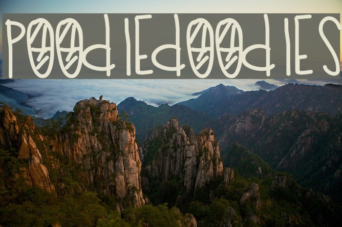 PoodleDoodles Font examples