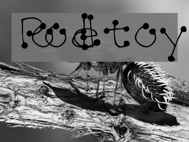 Poodletoy Шрифта examples