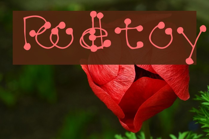 Poodletoy Font examples