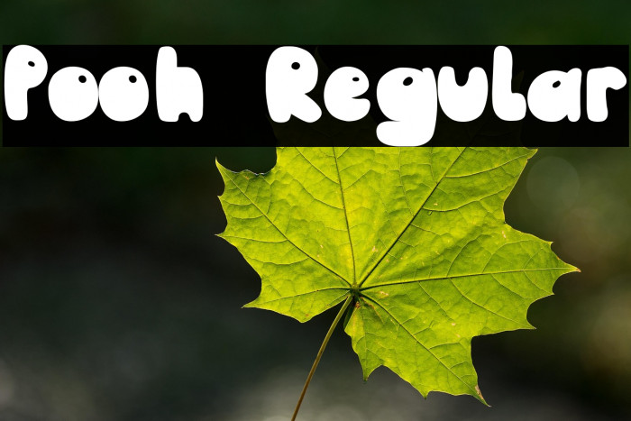 Pooh Regular Example 1