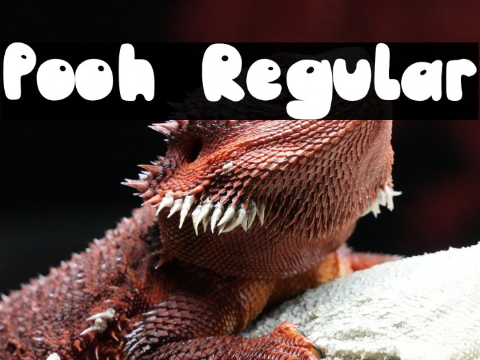 Pooh Regular Example 2