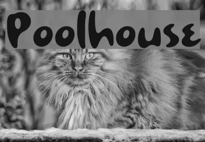 Poolhouse Font examples