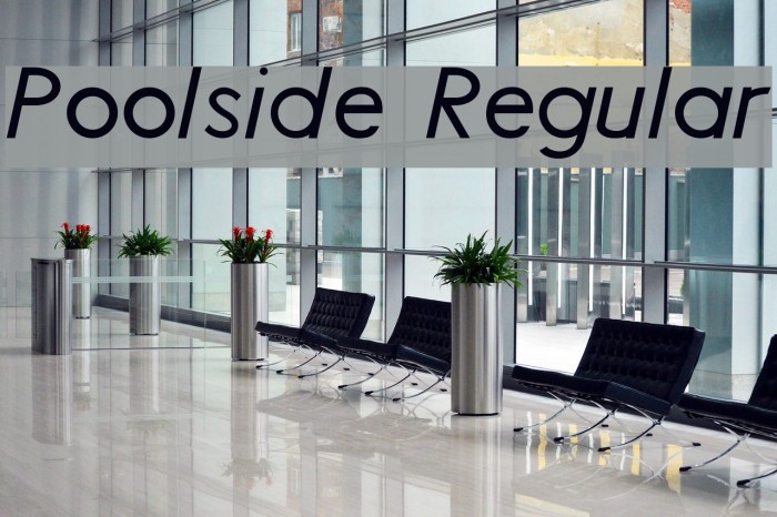 Poolside Regular Font examples