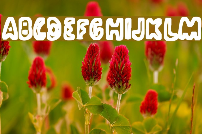 PoopedEyes ExtraBold Font examples