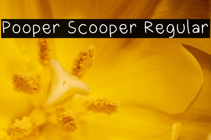 Pooper Scooper Regular Example 3