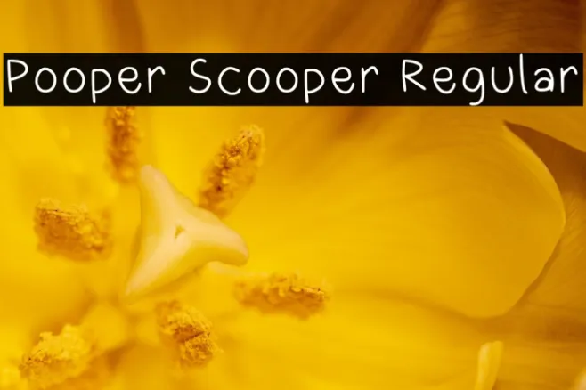 Pooper Scooper Regular Example 3
