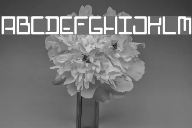 Poophead Caratteri examples