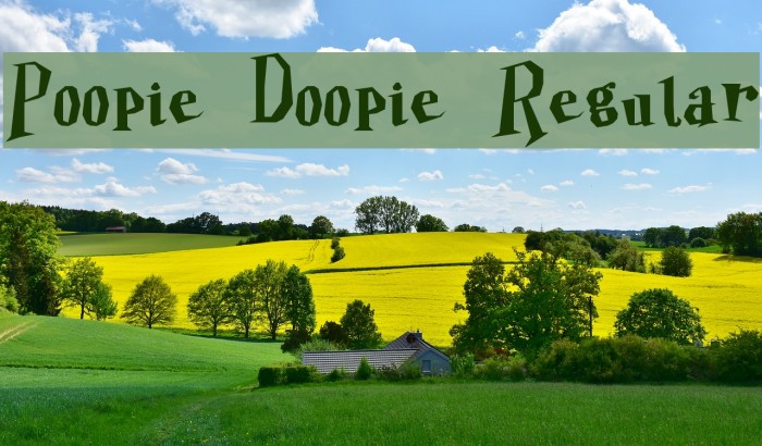 Poopie Doopie Regular Example 2