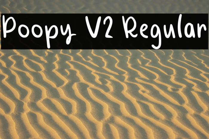 Poopy V2 Regular Example 1
