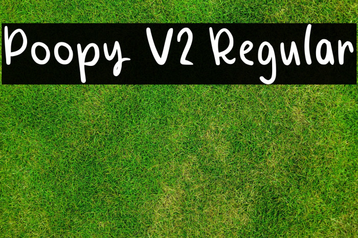 Poopy V2 Regular Example 2