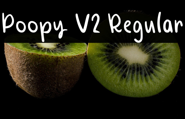 Poopy V2 Regular Example 3