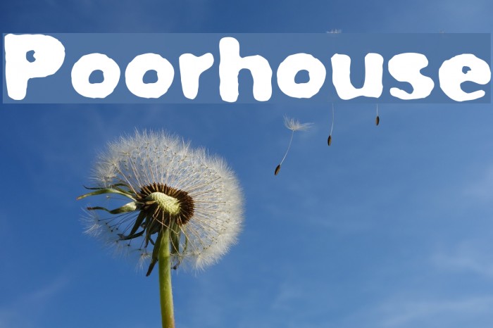 Poorhouse Font examples