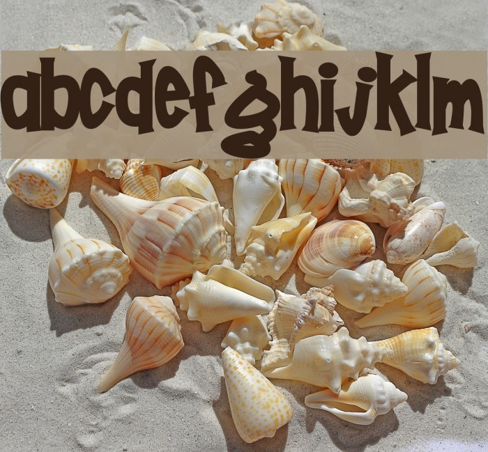 Poornut Font examples