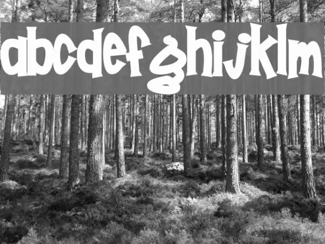 Poornut Font examples