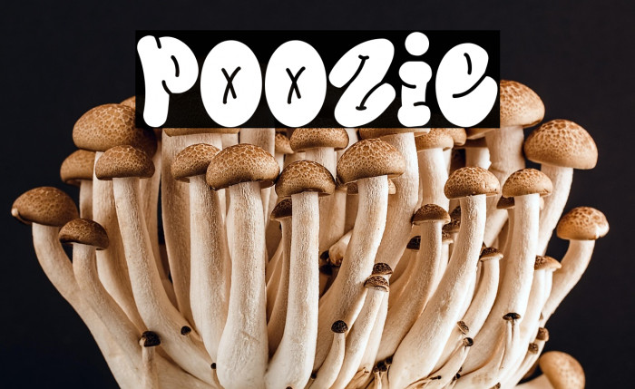 Poozie Example 1