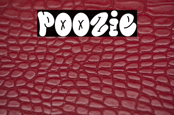 Poozie Example 3