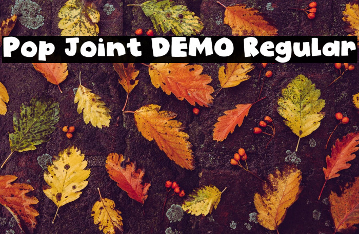 Pop Joint DEMO Regular Example 2