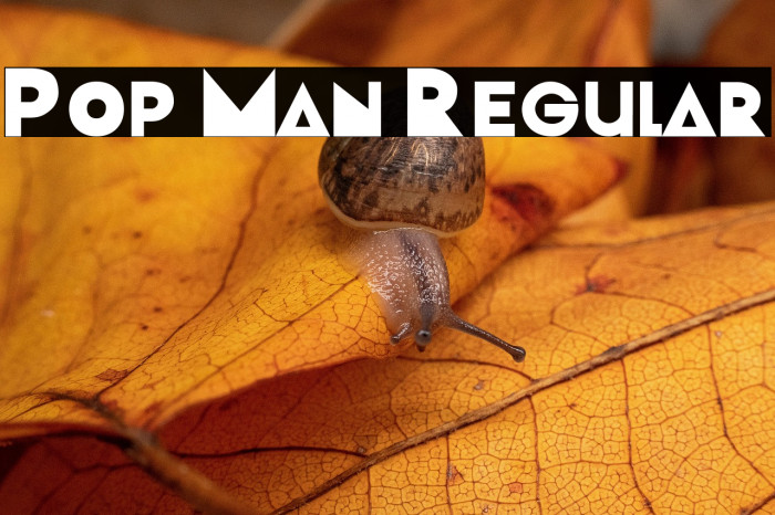 Pop Man Regular Example 1