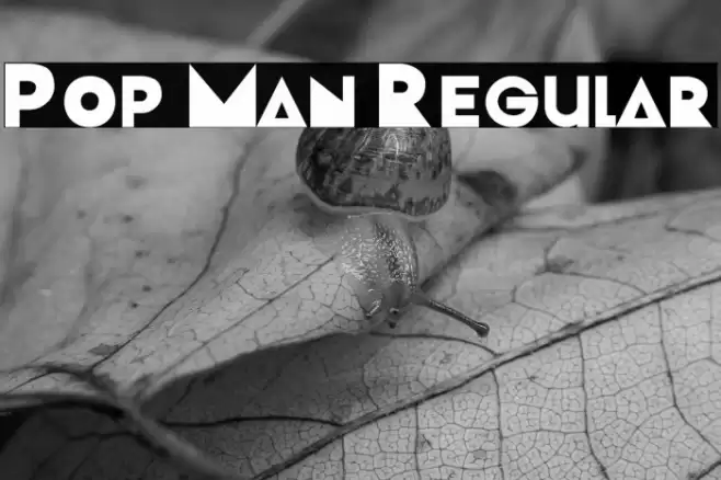 Pop Man Regular Font examples
