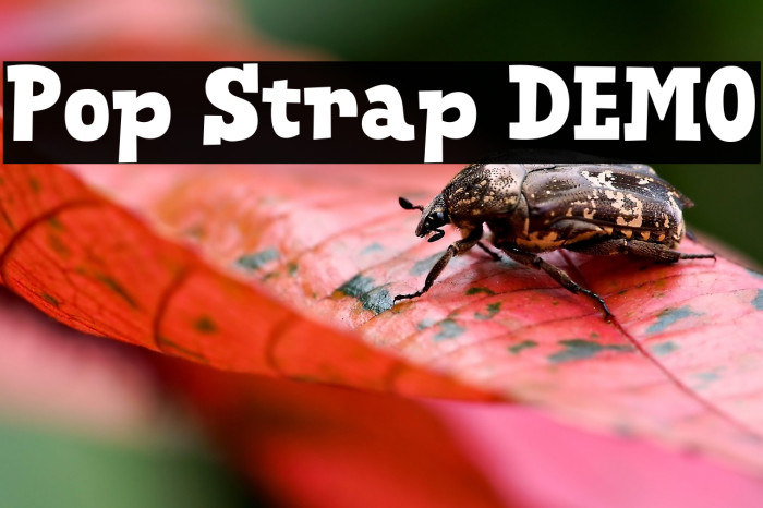 Pop Strap DEMO Example 3