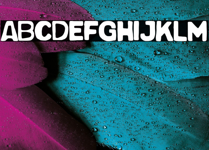 Pop Summer Fest Example 2