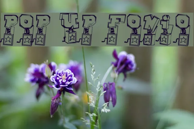 Pop Up Fontio Example 3