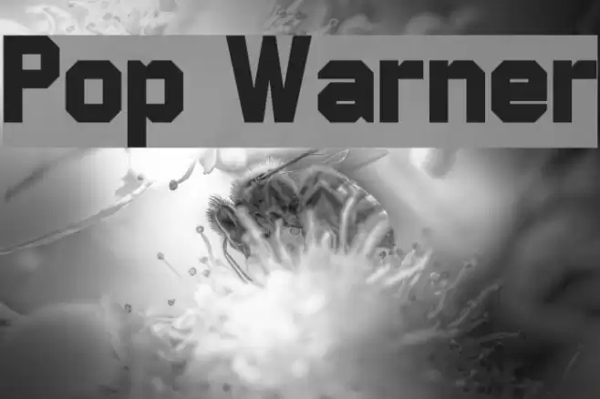 Pop Warner خط examples