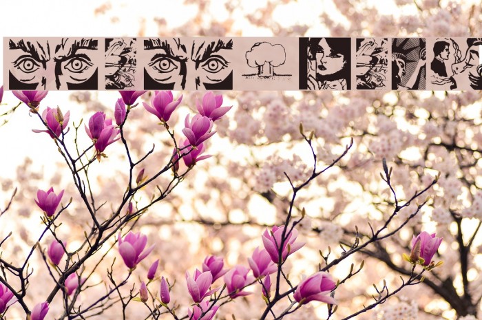 PopIcons Font examples