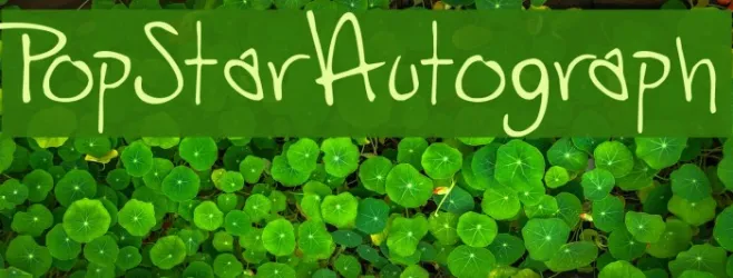 PopStarAutograph Example 1