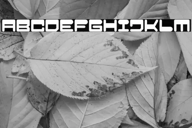 Popboy Font examples