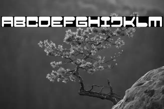 Popboy Font examples