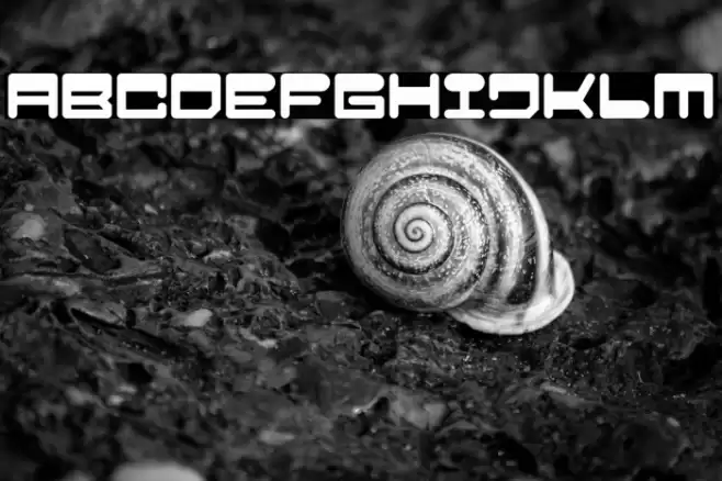 Popboy Font examples