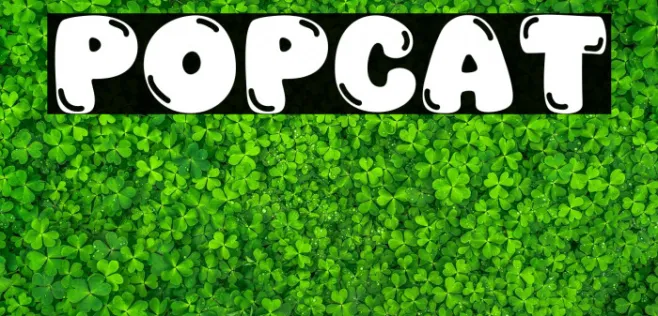 Popcat Example 2