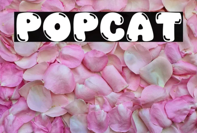 Popcat Example 3