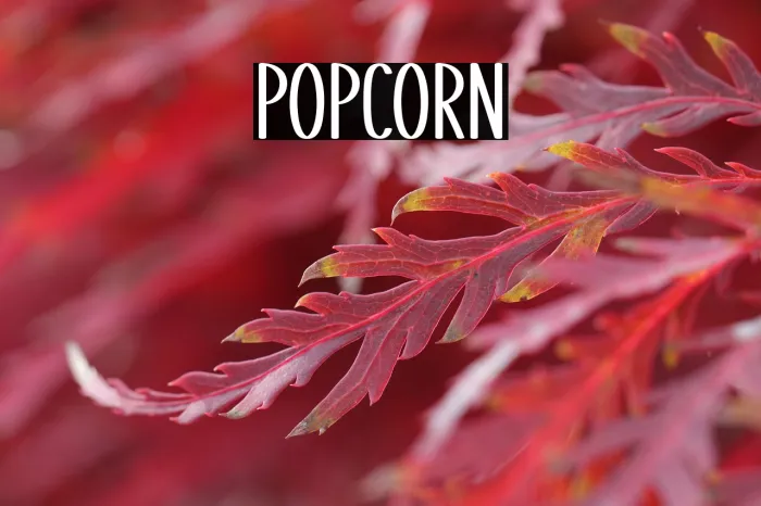 Popcorn1 Example 1
