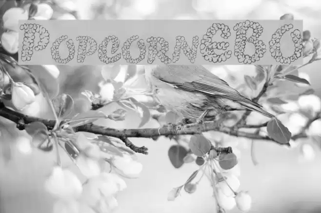 PopcornEBO Font examples