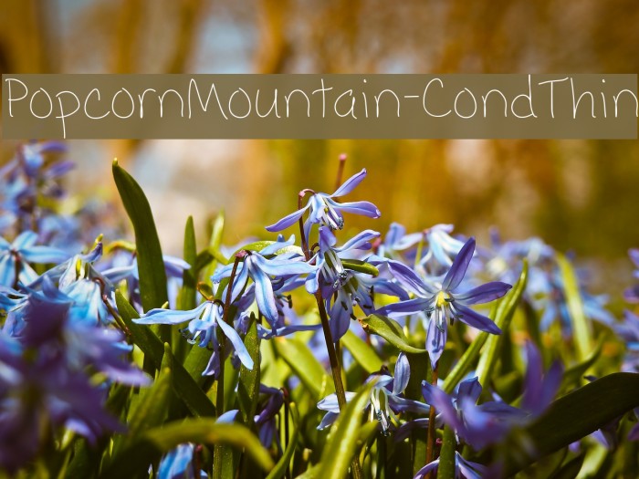 PopcornMountain-CondThin Font examples