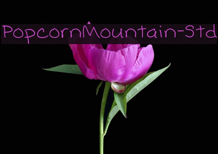 PopcornMountain-Std Font examples