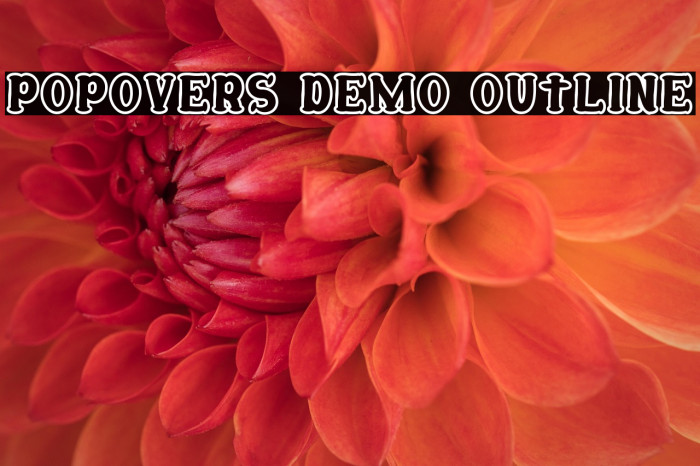 Popovers Demo Outline Example 1