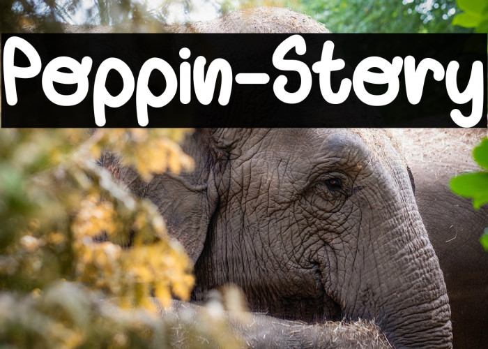 Poppin-Story Example 1