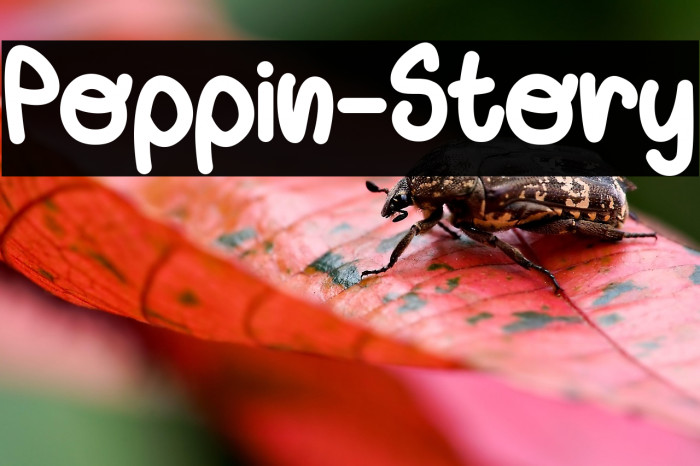 Poppin-Story Example 2