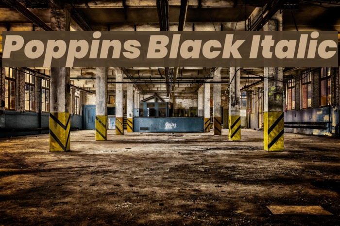 Poppins Black Italic Font examples