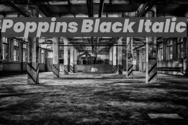 Poppins Black Italic Font examples