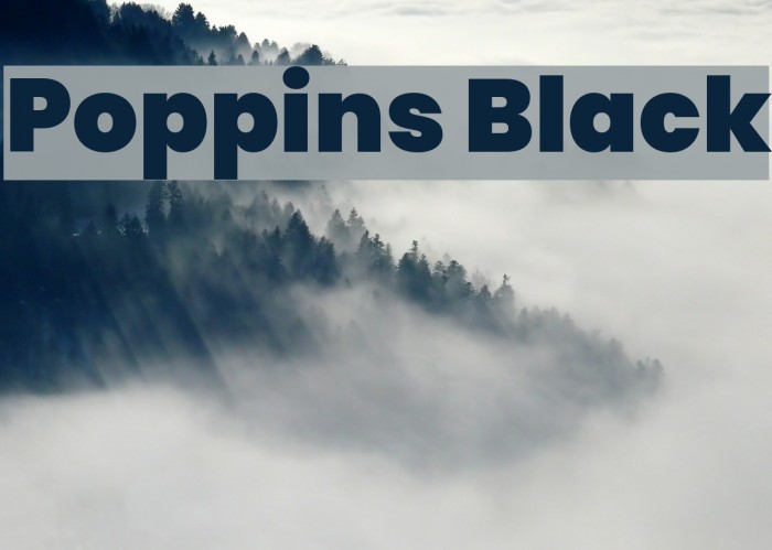Poppins Black Font examples
