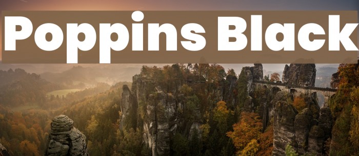 Poppins Black Font examples