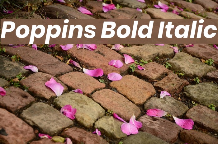 Poppins Bold Italic Font examples
