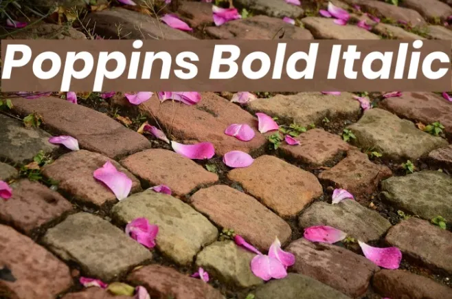Poppins Bold Italic Example 2