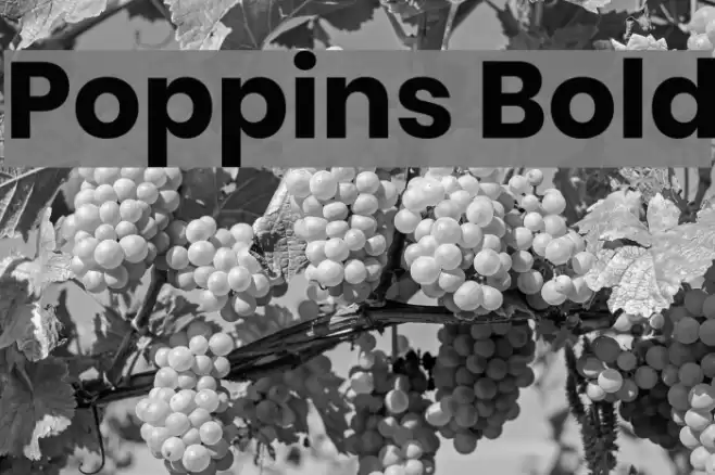 Poppins Bold Font examples